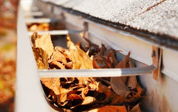 Freebirch gutter cleaning companies