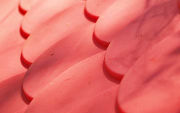 Freebirch plastic roof costs