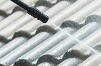 rated Freebirch roof cleaning companies